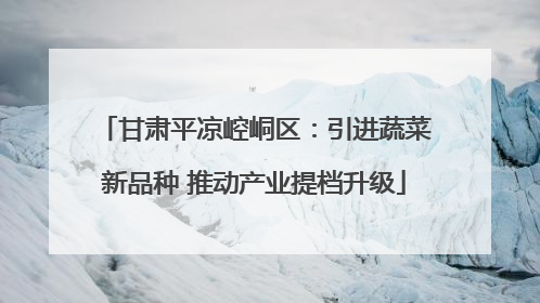 甘肃平凉崆峒区：引进蔬菜新品种 推动产业提档升级